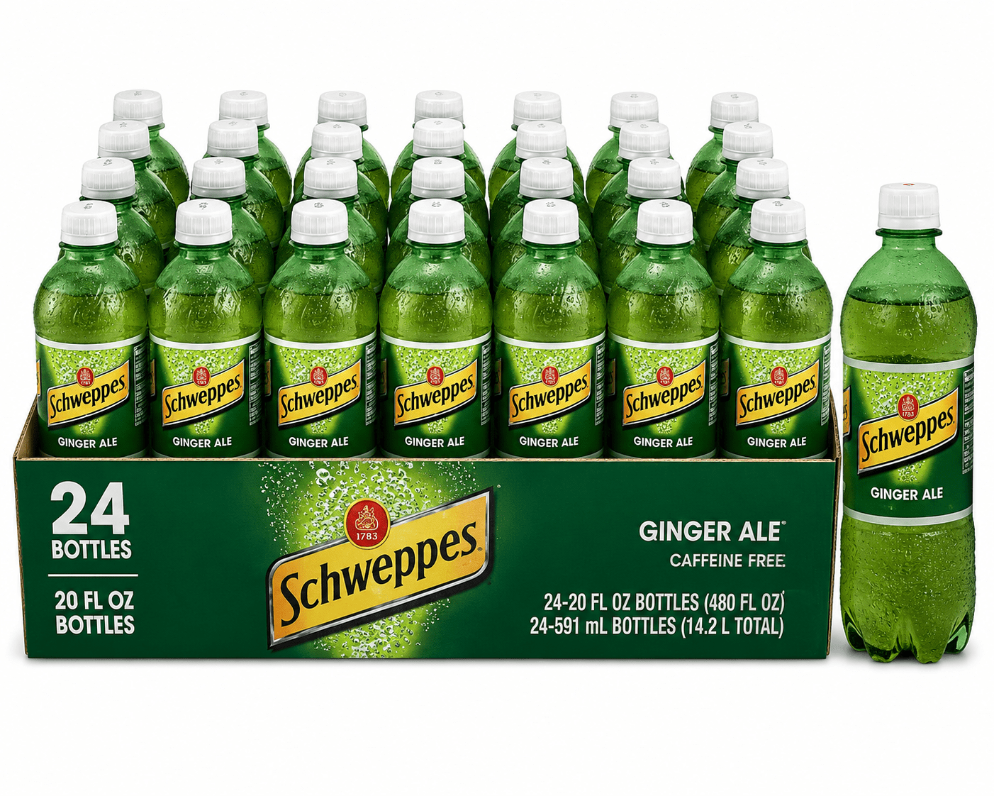 Schweppes Ginger Ale 20oz Bottles 24 Pack